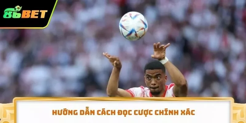 Hướng dẫn cách đọc cược chính xác