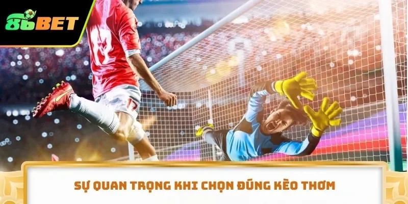 Sự quan trọng khi chọn đúng kèo thơm